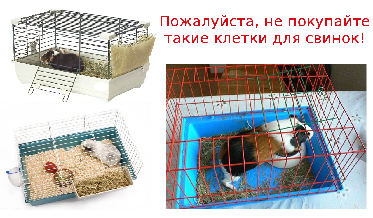 клетка для морской свинки - самый большой выбор товаров для домашних любимцев по всей Украине